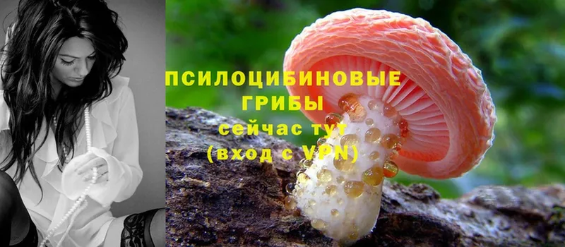 Псилоцибиновые грибы MAGIC MUSHROOMS Кремёнки